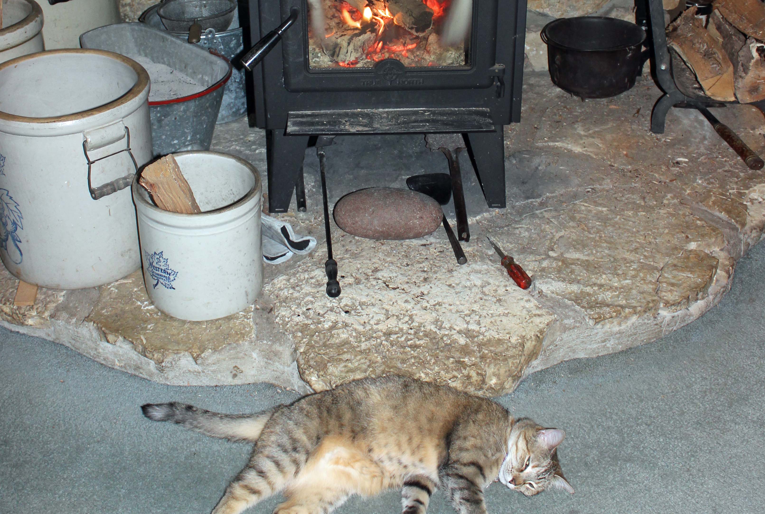 2020 March Sister-woodstove3